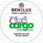 Apey Cargo – Benelux Freight & Logistics LLC logo