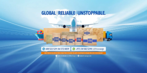 Frico International LLC cover image